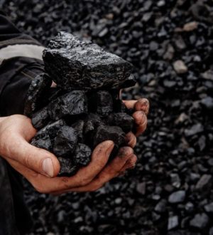 «Деньги будут перечислены не позднее 18 апреля»: кузбасские власти прокомментировали задержку зарплат горнякам