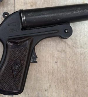 Житель Ленинска-Кузнецкого устроил стрельбу из ракетницы во дворе