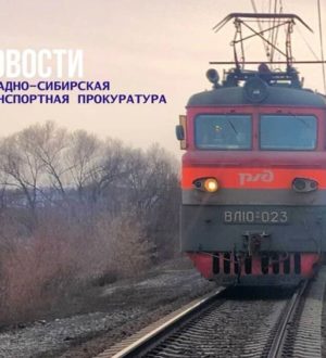 Грузовой поезд сошел с путей после столкновения с коровами в Осинниках