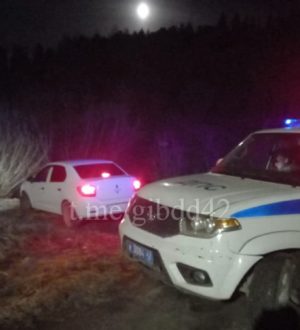 Пьяный водитель в Яшкино пытался скрыться от дорожной полиции в лесу