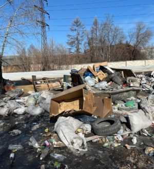 В Новокузнецке после вмешательства прокуратуры ликвидировали свалку бытового мусора