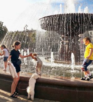 Для женщин Кузбасса введут сокращенную пятницу