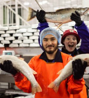 Более 15 000 студентов этим летом будут работать на сельскохозяйственных предприятиях страны