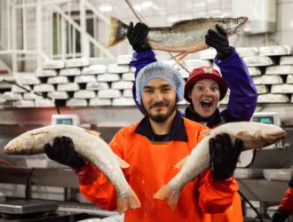 Более 15 000 студентов этим летом будут работать на сельскохозяйственных предприятиях страны