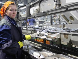 80 студентов из 15 регионов России работают на рыбообрабатывающих заводах на Сахалине