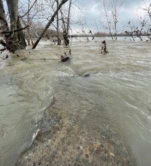 Уровень воды в реках юга Кузбасса слегка прибавляется, а на Мрас-Су был затор