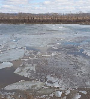 В Крапивинском округе на Томи начался ледоход