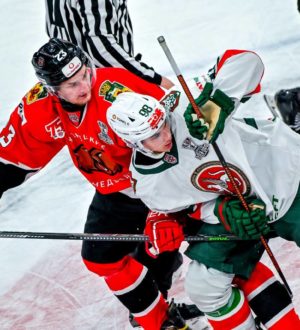 «Кузнецкие Медведи» второй раз обыграли «Ирбис»