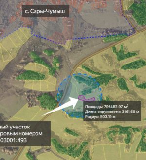 В Новокузнецком округе ввели карантин по бешенству