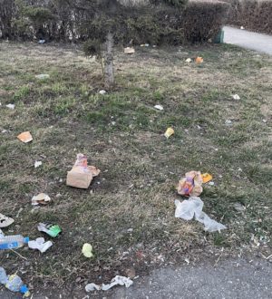 «Не площадь торжеств, а помойка»: новокузнечане жалуются на мусор и неприглядный вид главной площади города