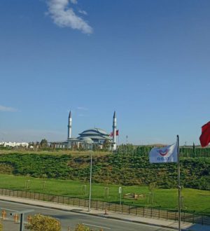 Таиланд, Турция, ОАЭ и Египет – в приоритете майского и летнего отпуска сибиряков