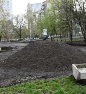 В Новокузнецке стартовали работы по благоустройства сквера «50 лет Центральному району»