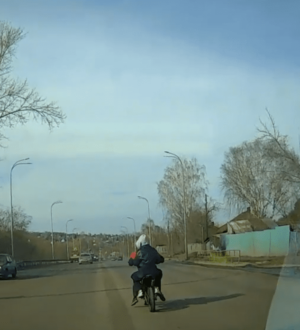 Ни  прав, ни мотошлемов: в Новокузнецке госавтоинспекторы поймали парочку несовершеннолетних на питбайке