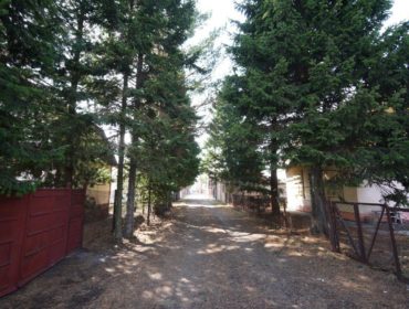 Россияне в среднем планируют потратить 28 тысяч рублей на подготовку к дачному сезону