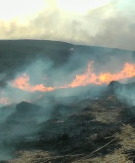В девяти территориях Кузбасса сдвинули сроки особого противопожарного режима