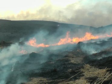 В девяти территориях Кузбасса сдвинули сроки особого противопожарного режима