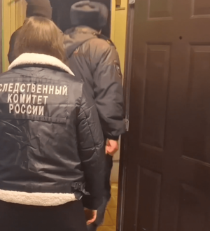 Пытался ножом зарезать свою мать: новокузнечанина подозревают в покушении на убийство