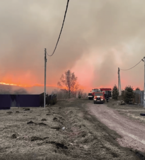 Крупный ландшафтный пожар потушили в Новокузнецком округе, огонь едва не добрался до жилых домов