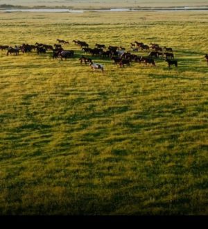 Москвичам в метро покажут ролик про Гурьевский округ