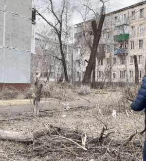 В Новокузнецке во время урагана дерево упало на мужчину