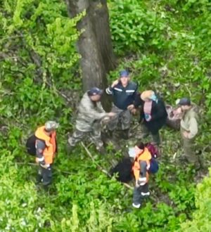 С помощью беспилотника в Кузбассе нашли заблудившуюся в тайге пенсионерку
