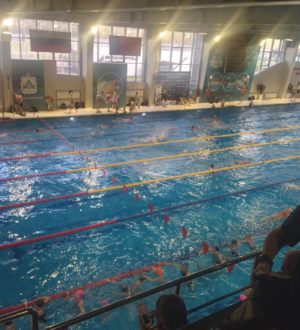 Трамплин в большой спорт для юных пловцов: «Лига Александра Попова» стартовала в Кемерове