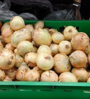 Глава Минсельхоза Кузбасса опроверг информацию о дефиците лука в кузбасских магазинах