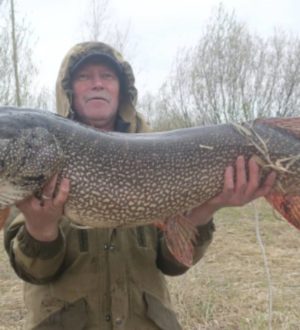 Пудовую щуку выловили в Кузбассе