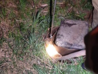 Провалившегося в скважину сурка спасли в Кузбассе
