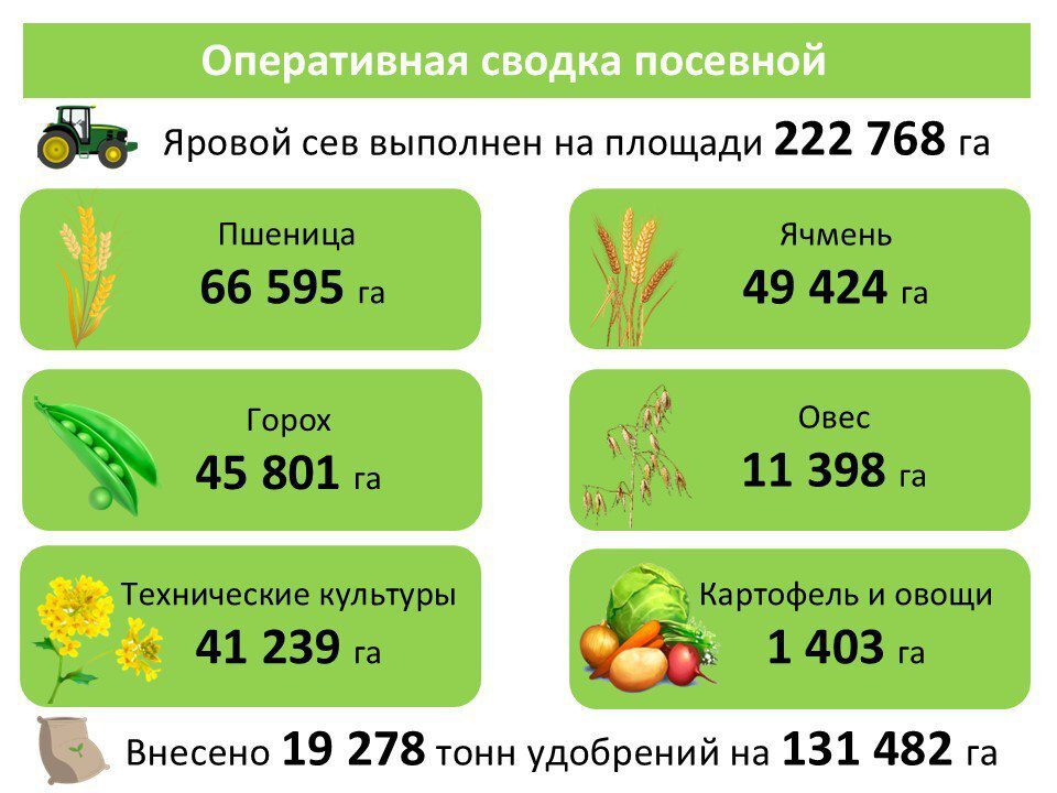 Посевная по злаковым культурам в Кузбассе выполнена почти на треть