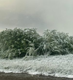 Кузбасс накрыло снегом за четыре дня до лета