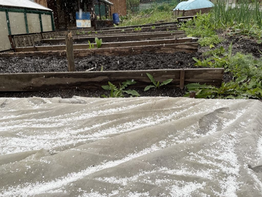 Кузбасс накрыло снегом за четыре дня до лета