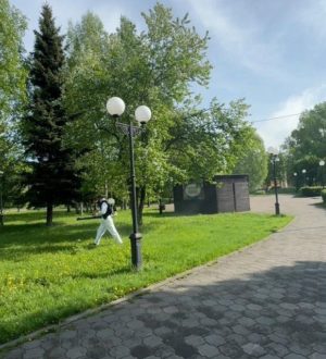 В Новокузнецке приступили к обработке парков от клещей