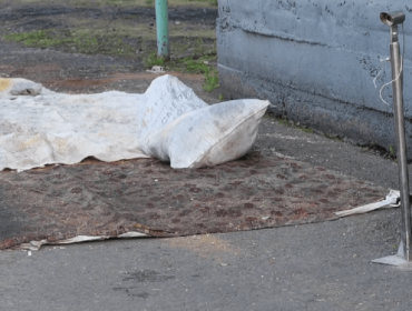 Карантин по бешенству ввели в Беловском округе