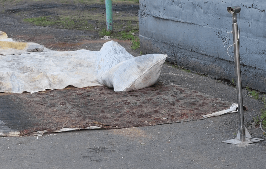 Карантин по бешенству ввели в Беловском округе