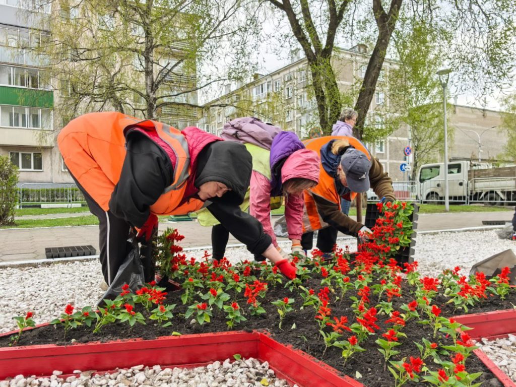 В Новокузнецке приступили к украшению цветами Бульвара Героев