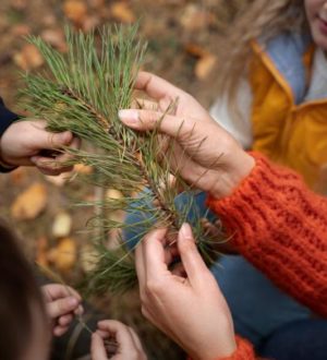 Сила в объединении: Фонд «Экология» подвёл итоги всероссийской акции — детские сады и школы собрали более 20 тонн макулатуры