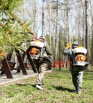 Жителям Прокопьевска советуют не гулять с животными по Тырганскому парку