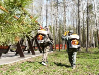 Жителям Прокопьевска советуют не гулять с животными по Тырганскому парку