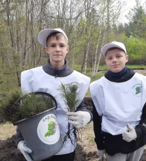 Кузбасовцы высадили за один день 4 тысячи кедров в память о герое Великой Отечественной войны