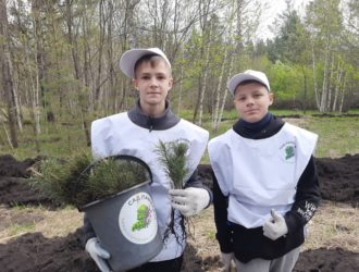 Кузбасовцы высадили за один день 4 тысячи кедров в память о герое Великой Отечественной войны