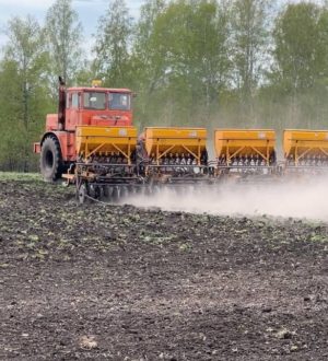 Аграрии Кузбасса на сегодняшний день выполнили посевную кампанию на 68%