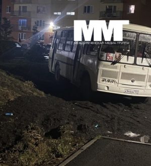 Водителя, парковавшего автобус на газоне, дважды оштрафовали в Междуреченске