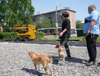 Площадку для собак на ул. Дзержинского в Кемерове ждут масштабные преобразования