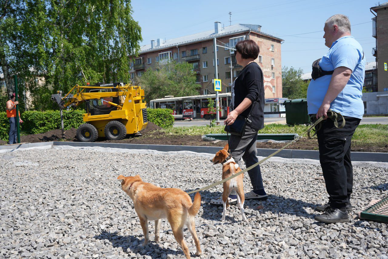 Площадку для собак на ул. Дзержинского в Кемерове ждут масштабные преобразования