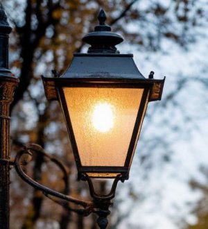 Экс-директора муниципального учреждения в Березовском осудили на 3,5 года за кражу уличных фонарей