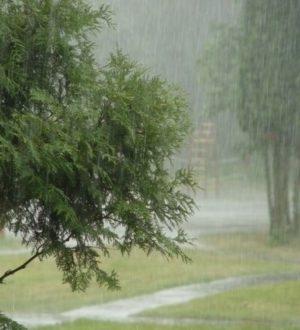 На Кузбасс надвигаются ливни и град