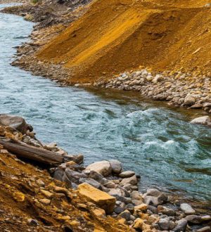 Работу золотодобывающей компании в Кузбассе приостановили почти на 3 месяца