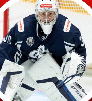 В состав хоккейной команды Новокузнецка вошел новый вратарь