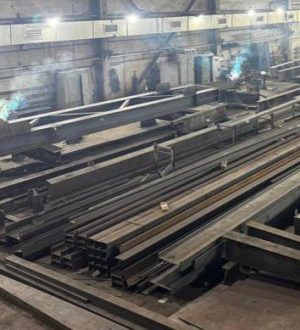 В Топкинском округе за счет инвесторов построят завод по переработке маслосемян